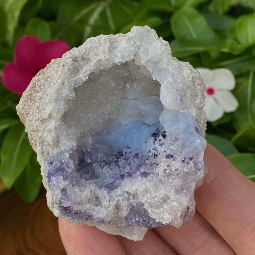 Spirit Flower Geodes are an exciting, rare, new 2021 mineral find! We specialize in the highest quality Spirit Flower Geodes available. 
