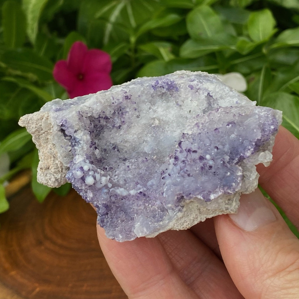 Spirit Flower Geodes combine the soft contours of botryoidal blue and white Chalcedony with sparkling druzy-like quartz crystals and blue-purple Fluorite, giving a soft bluish- purple hue to the geode. Fluoresces bright green-yellow under UV light.