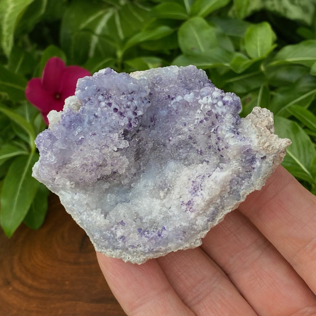 This is a superb larger size Spirit Flower Geode specimen with blue fluorite presenting nearly all the way around the geode.