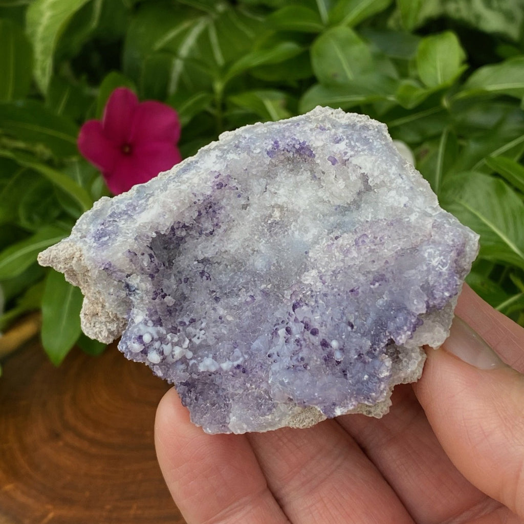Spirit Flower Geodes are an exciting, rare, new 2021 mineral find! We specialize in the highest quality Spirit Flower Geodes available.