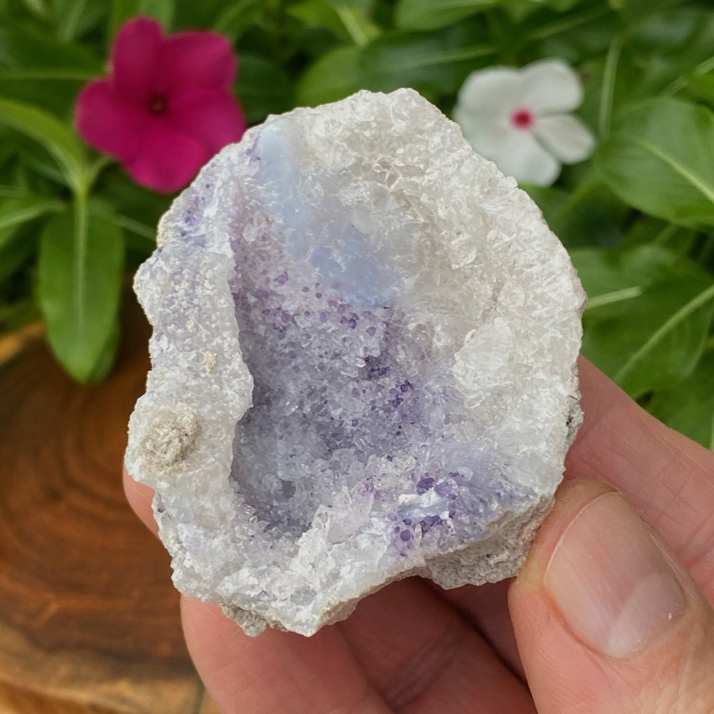 This Spirit Flower Geodes is 100% natural and presents with a blend of botryoidal Chalcedony, Dark Blue Fluorite and druzy Quartz crystals. 
