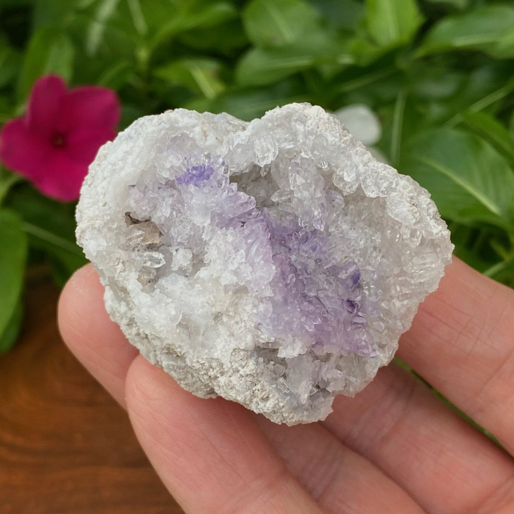 This Spirit Flower Geode presents with a combination of the soft contours of botryoidal blue and white Chalcedony with sparkling druzy-like Quartz crystals and blue-purple Fluorite, presenting an overall soft bluish-purple hue to the geode.