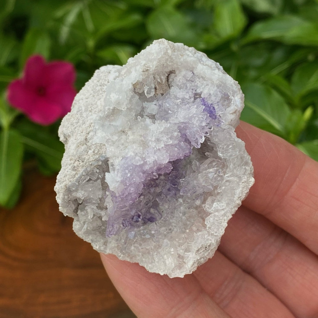 There is an attractive, soft dispersion of blue fluorite throughout this Spirit Flower Geode. 