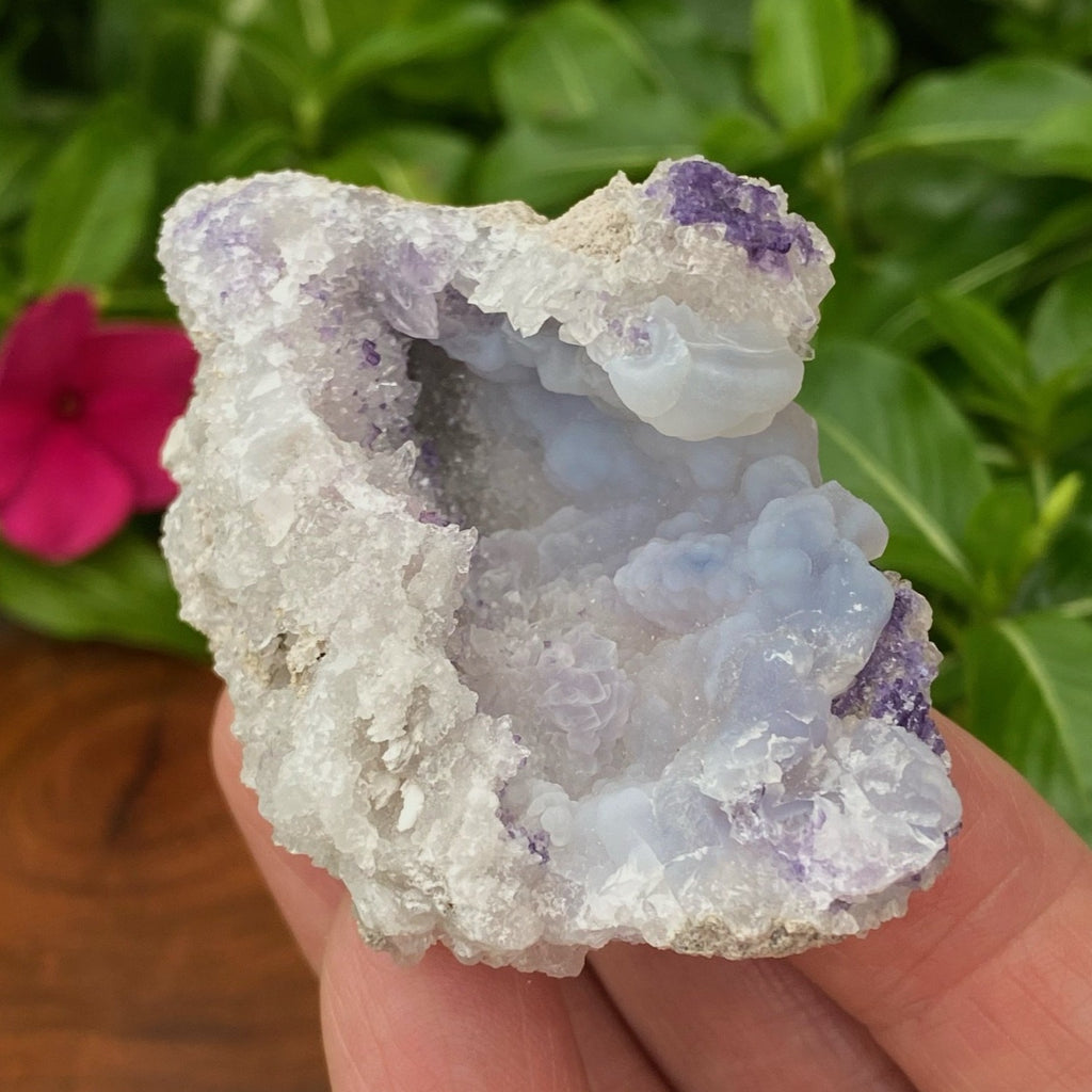 This Spirit Flower Geode is 100% natural and composed of a blend of botryoidal Chalcedony, Dark Blue Fluorite and druzy Quartz crystals.