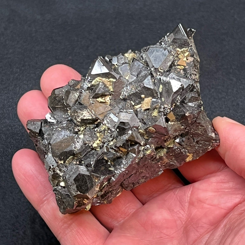 Contrasting golden-yellow Chalcopyrite crystals intergrow with the Sphalerite in this fine specimen.