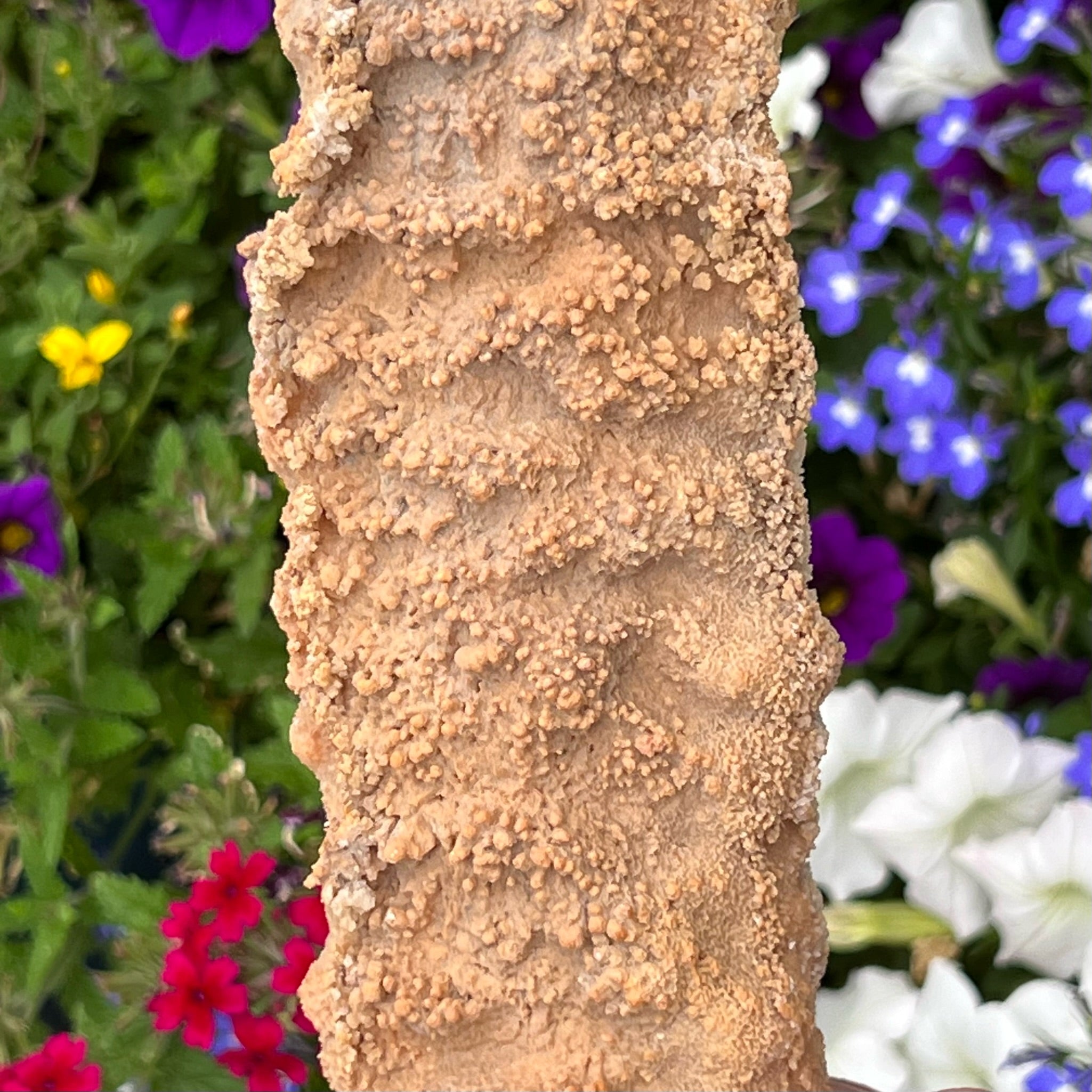Stalactites like this one (and Stalagmites) are examples of Speleothems, a geologic formation that is created by mineral deposits that accumulate over time, hundreds or even thousands of years, in natural caves.