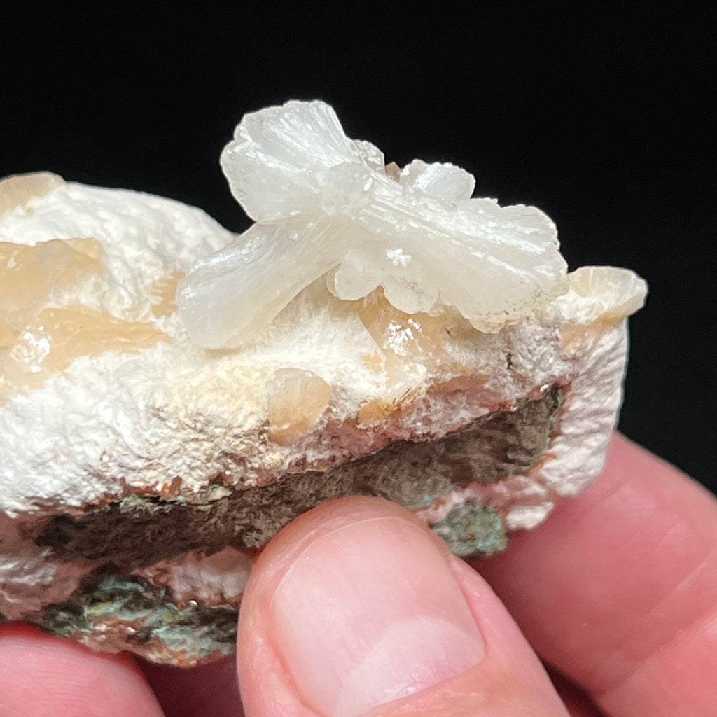 A beautiful pearly luster emanates from both the Stilbite and the Heulandite crystals on this specimen.