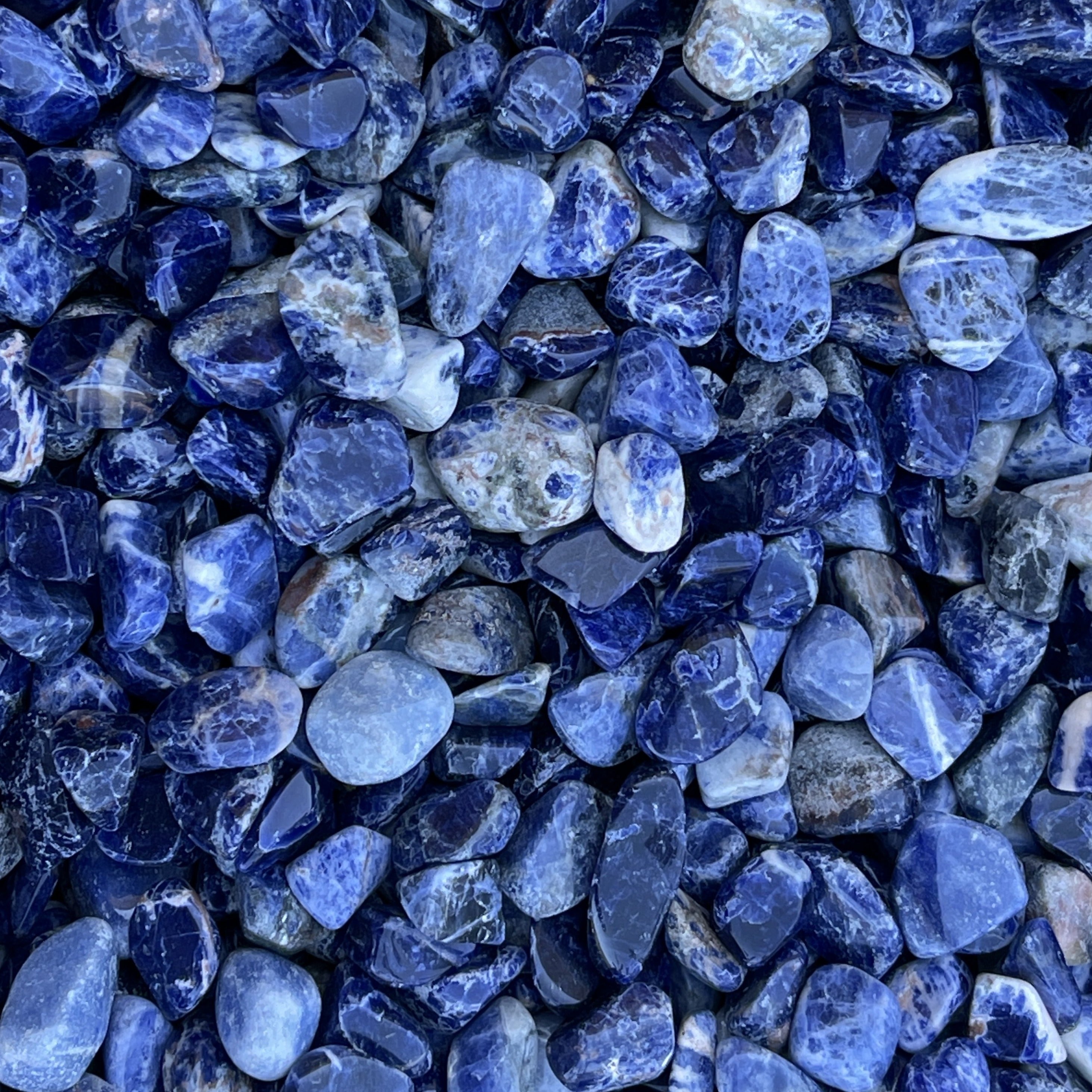 Sodalite-tumbled-stones-.5"-1"