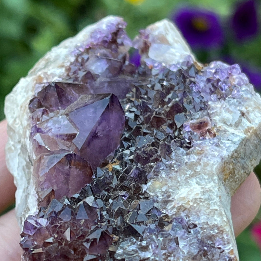 Spirit Cactus Quartz Crystals Deep Purple | 70grams Amethyst Spirit Cluster
