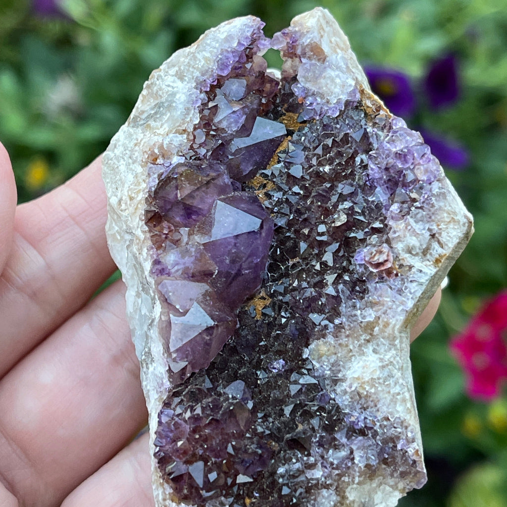 Spirit Cactus Quartz Crystals Deep Purple | 70grams Amethyst Spirit Cluster