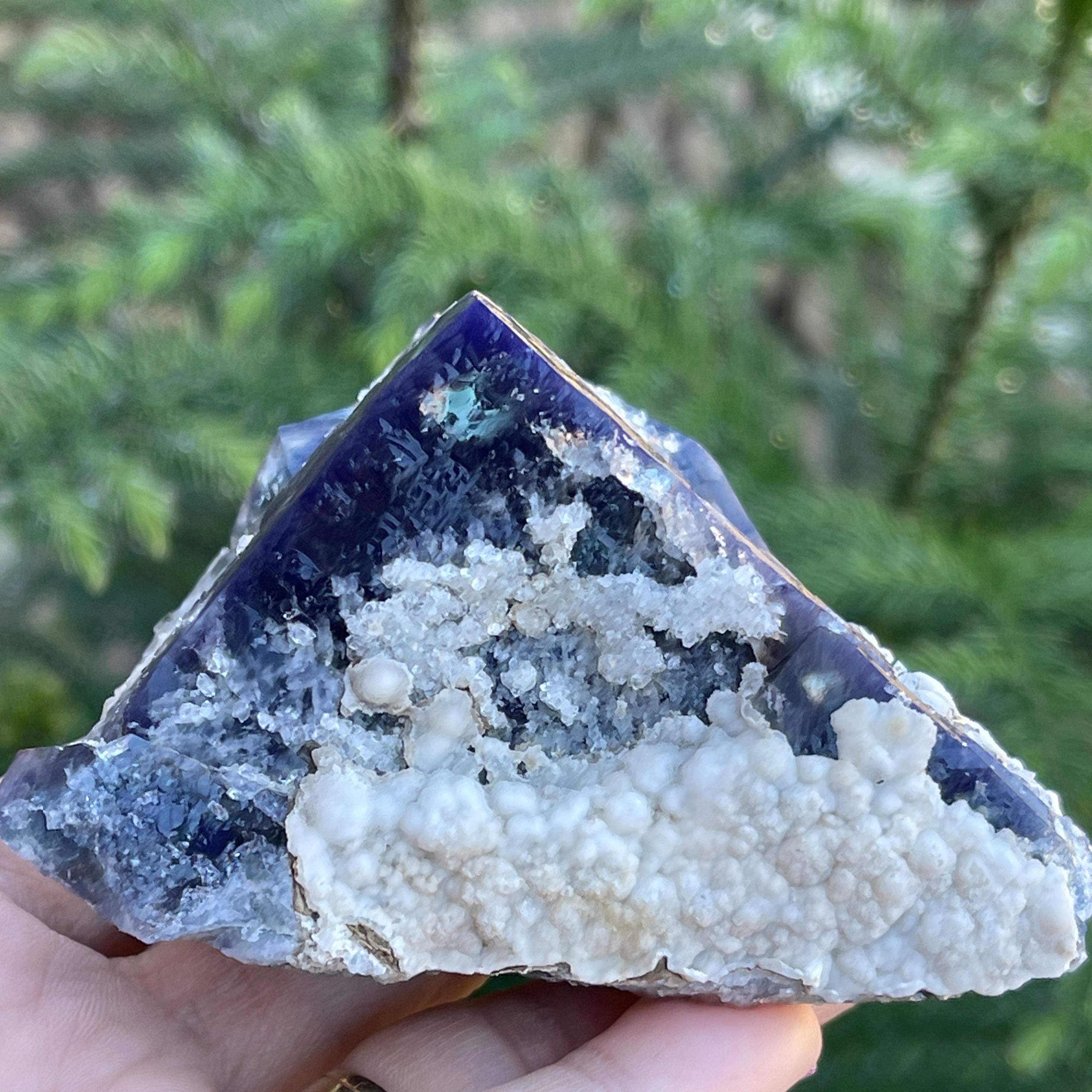 Fluorite New Find! SuperNova Pocket 322grams | CrystalRockology