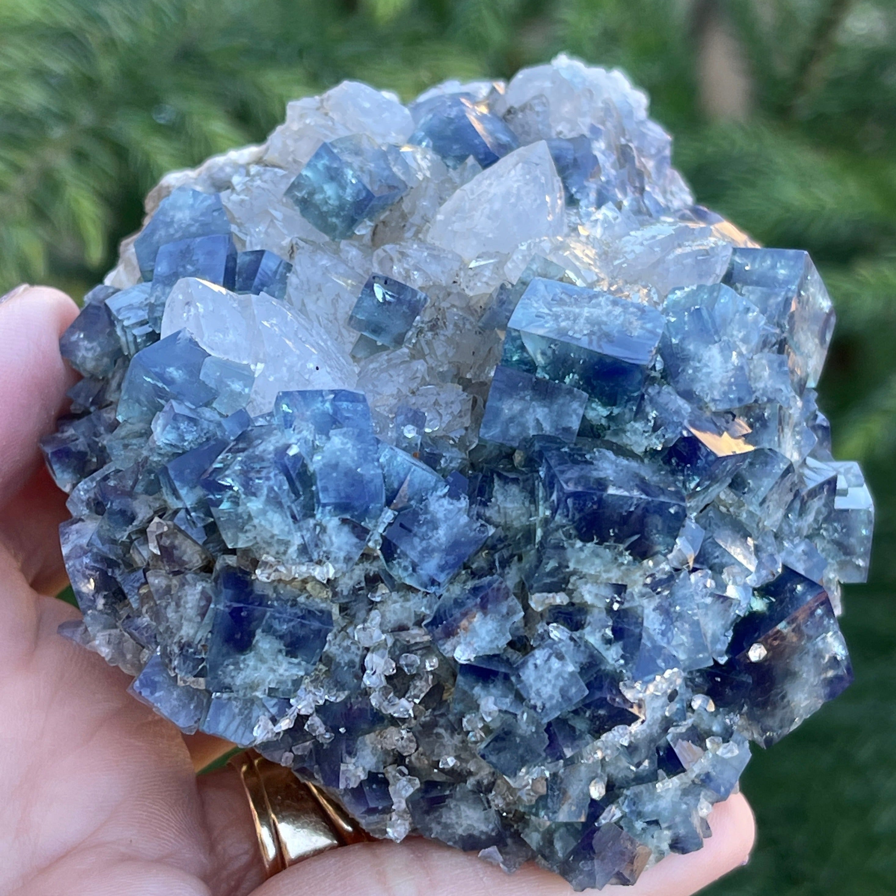 Supernova-Fluorite-SF3_2936x.