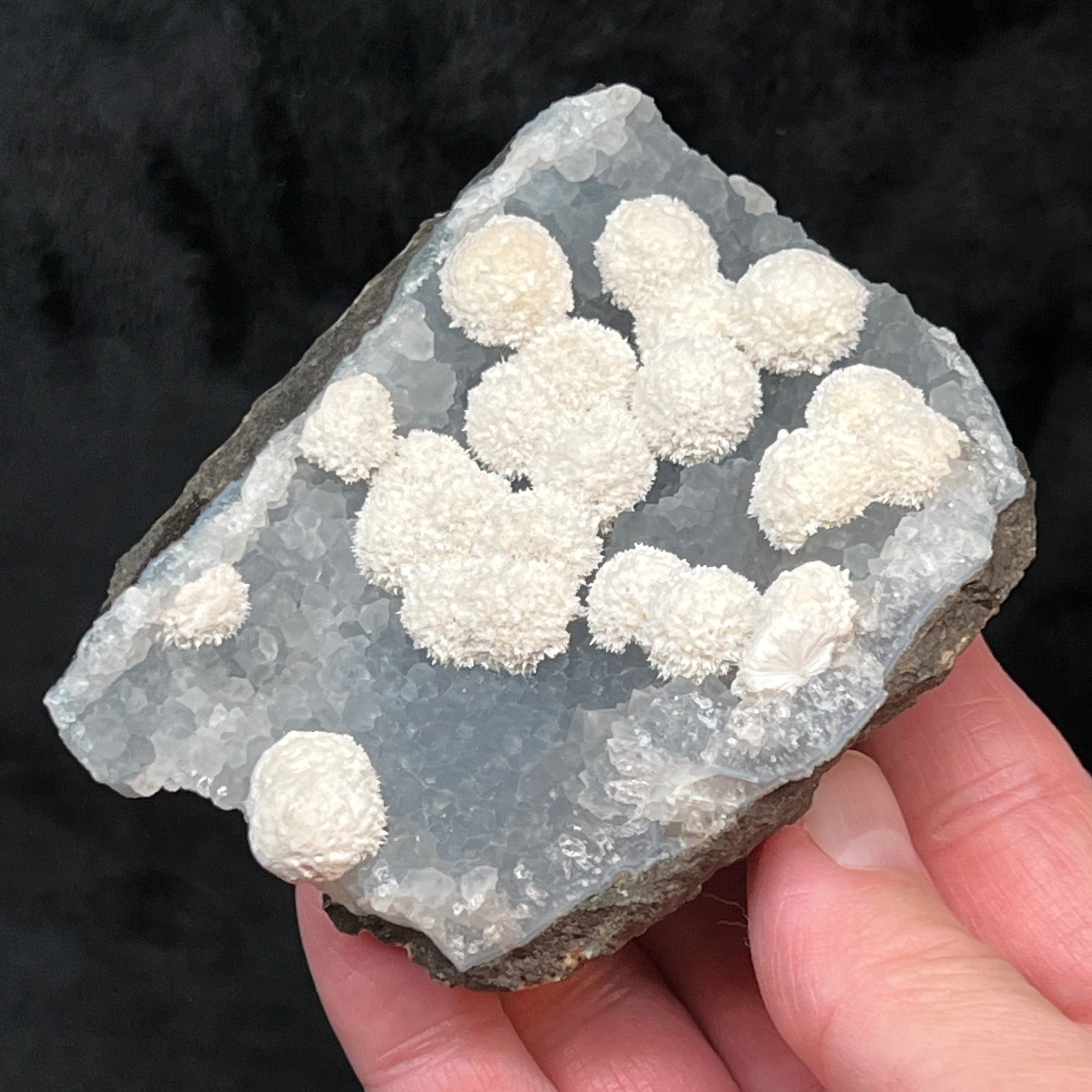 Mordenite Radiating Snowball Like Crystals on Blue-Gray Quartz 265g