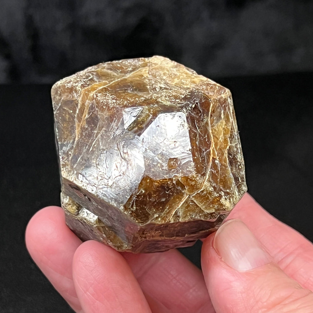 The lustrous, well formed faces on this Vesuvianite crystal are representative of a higher quality specimen from this location.
