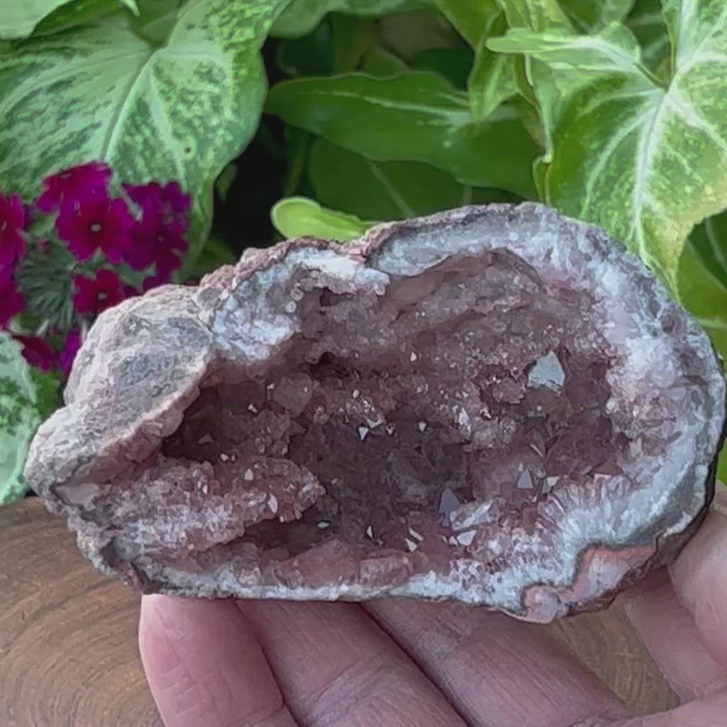 The exceptionally sparkly larger prismatic and tabular crystals clinging closely to the deeper areas of the pocket of this Pink Amethyst Geode present with a fascinating almost phantom-like zoning. 
