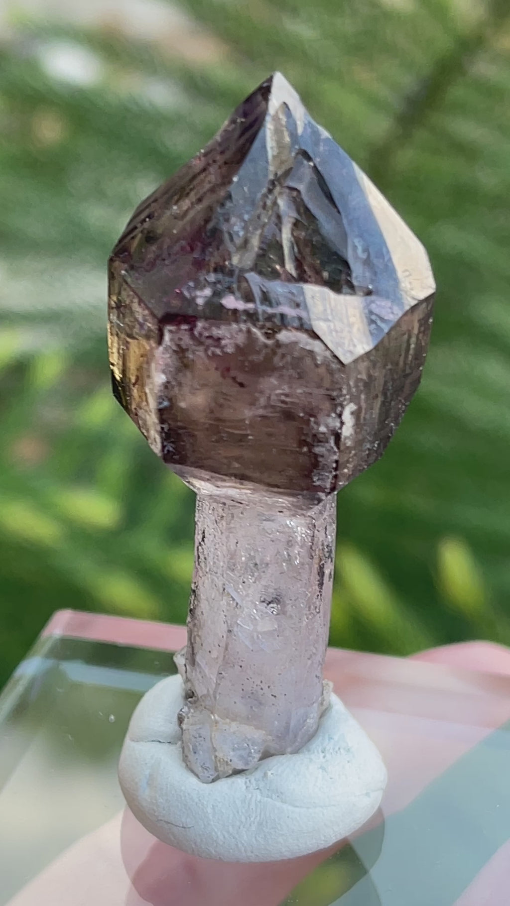 No damage or polish. The complex grown faces of this Smoky Quartz Scepter specimen are not broken, rather they exhibit dimples and indented fenster or skeletal, hoppered growth.