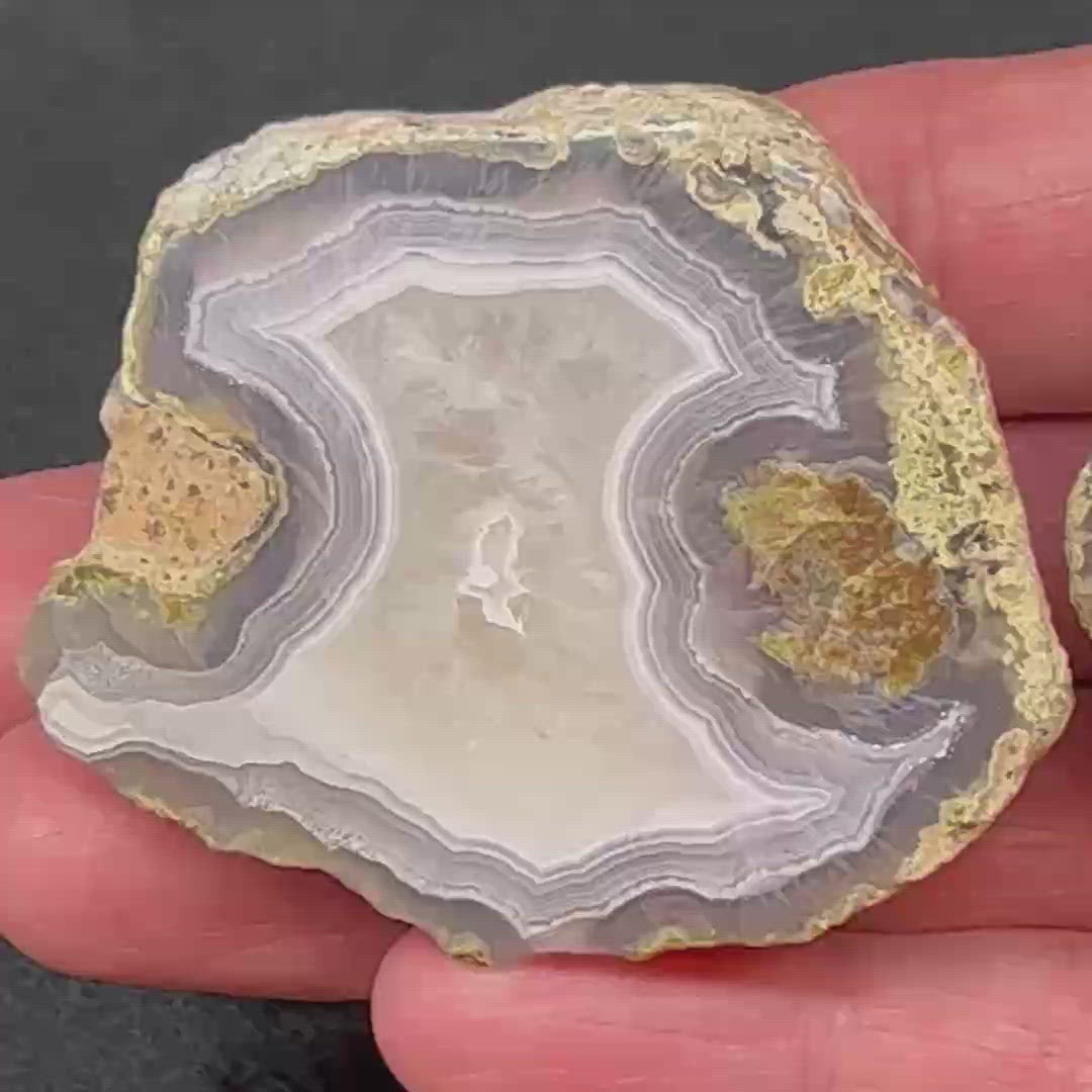 Exhibiting fascinating translucency, both sides of these highly polished, excellent Laguna Agate thunderegg specimens are equally beautiful. 