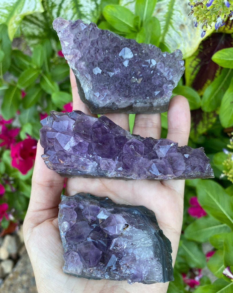 Natural Amethyst Crystal Cluster Specimen 1.5"-3" Medium Crystals