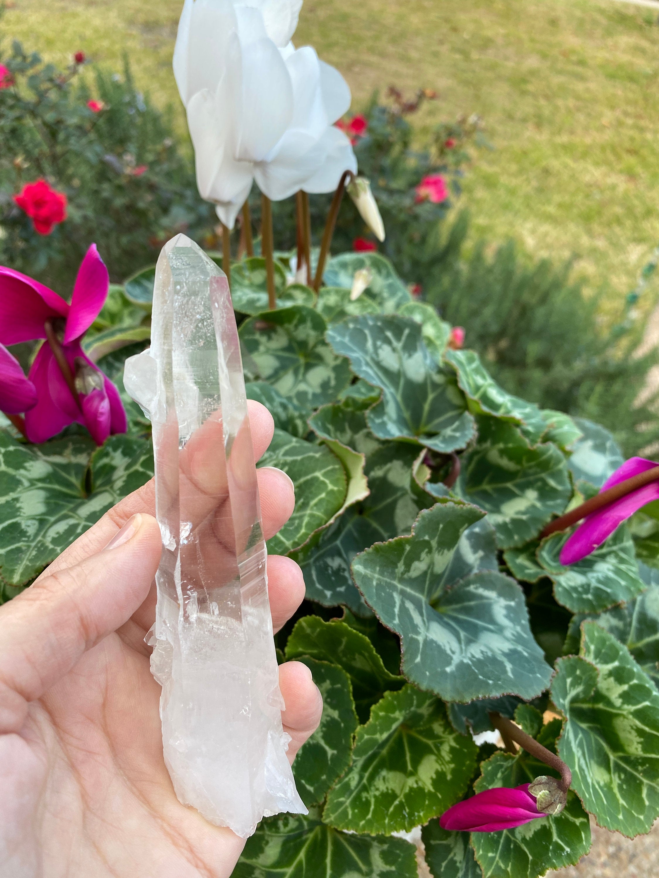 Tibetan Himalayan Quartz Crystal Large 5" Wand with Second Crystal - Healing Crystals