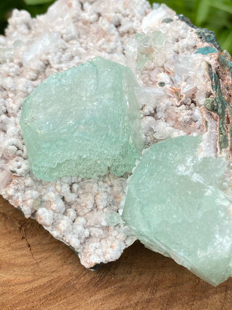 Green Apophyllite & Stilbites on Micromount Heulandites Crystal - Zeolites