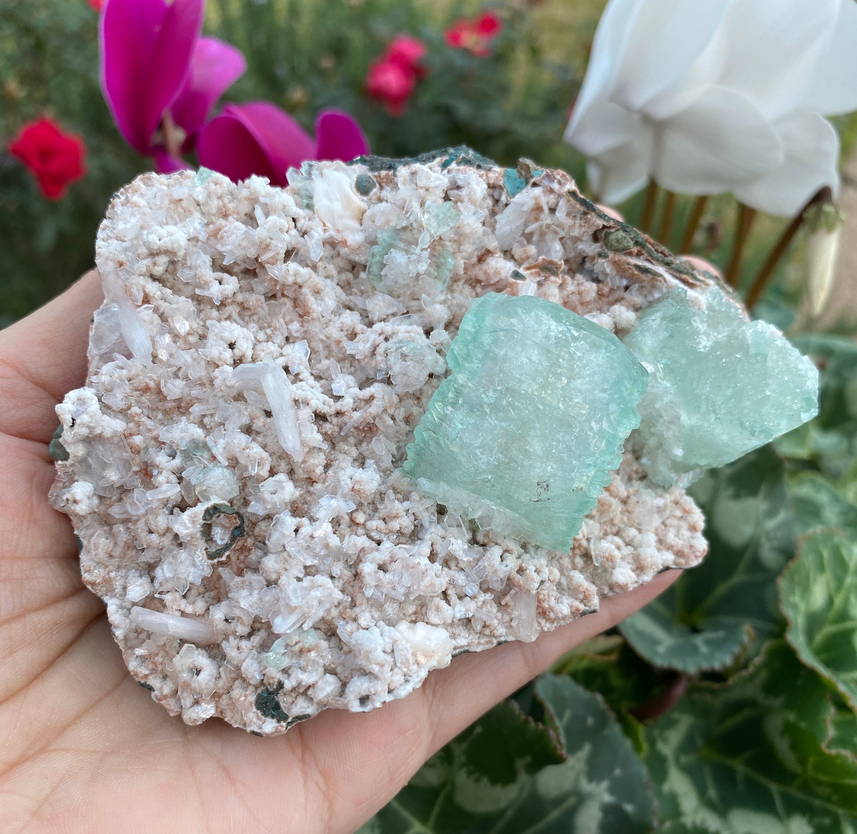 Green Apophyllite & Stilbites on Micromount Heulandites Crystal - Zeolites