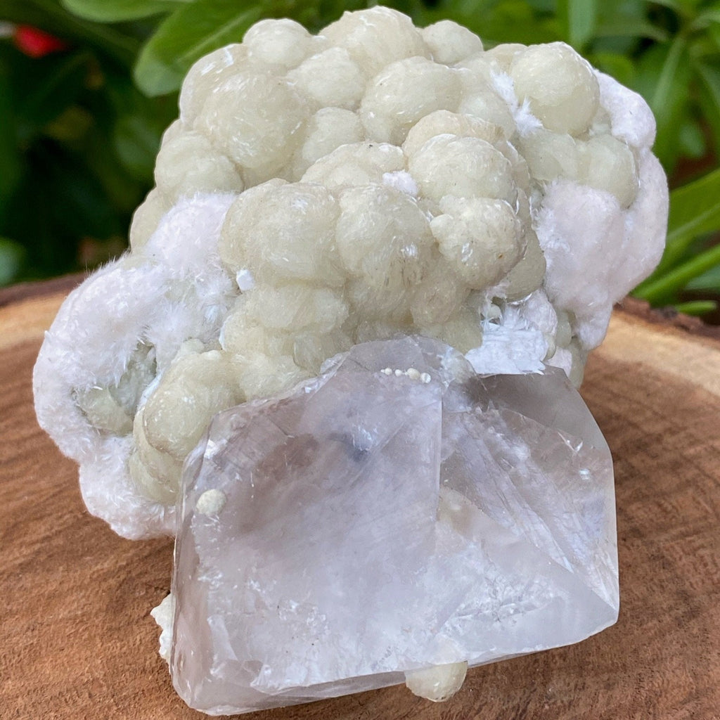 Gyrolite-Calcite-Crystals rare high quality specimen