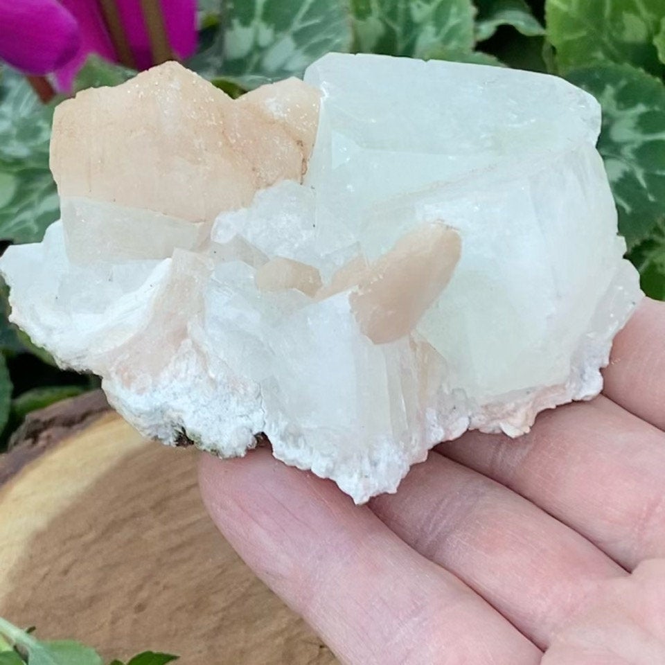 Rare Apophyllite Pseudocubic Crystals with Pink Stilbite Crystals Zeolite