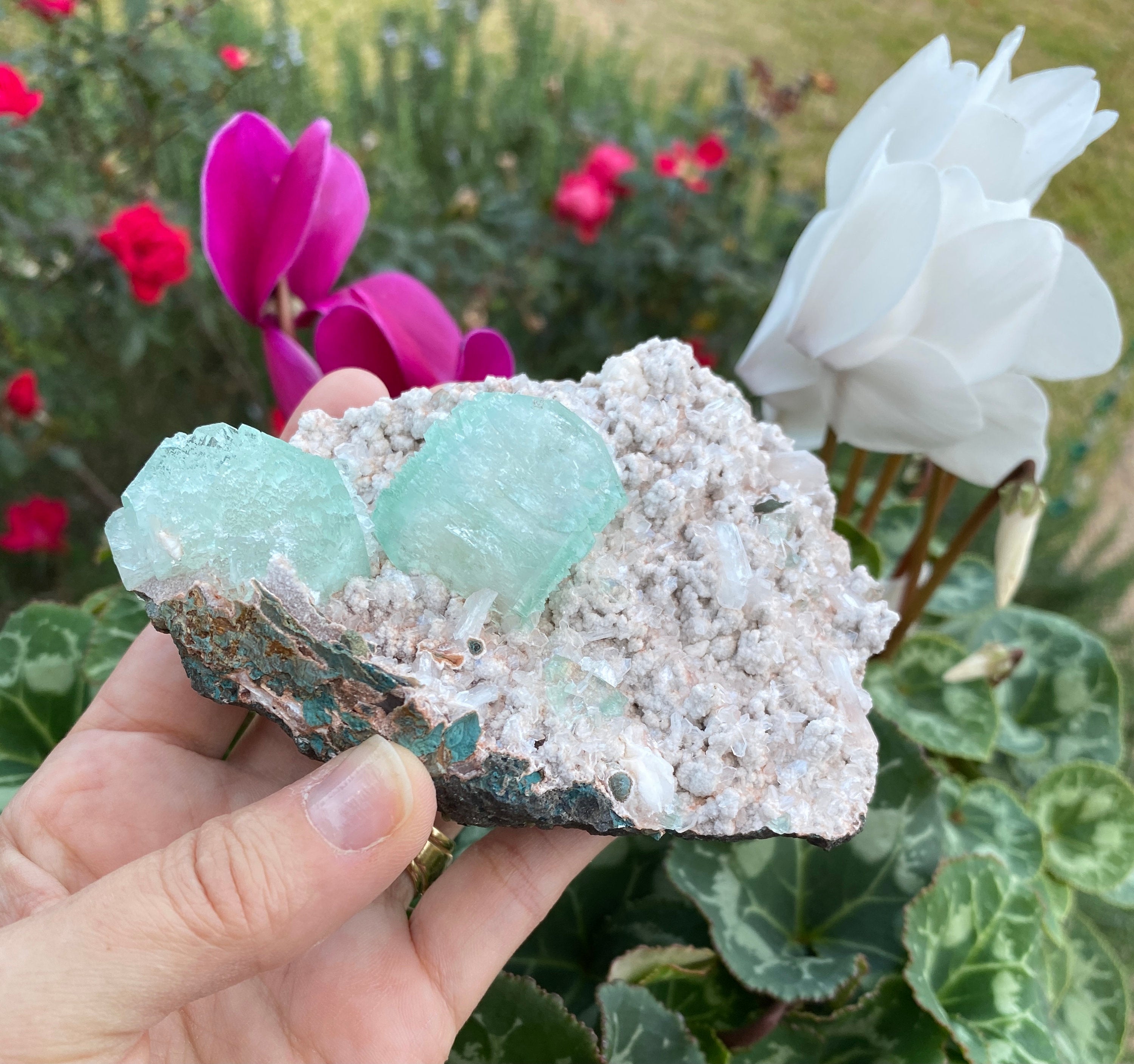 Green Apophyllite & Stilbites on Micromount Heulandites Crystal - Zeolites