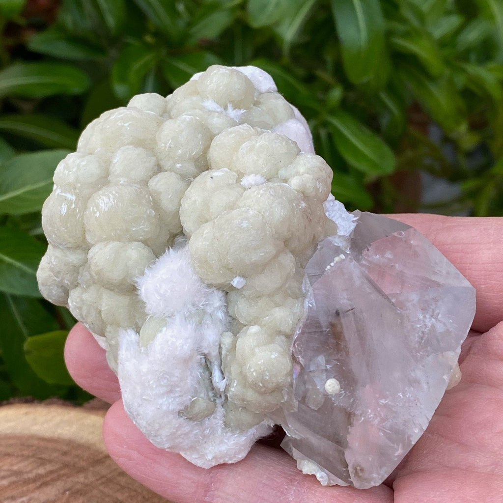 Rare Gyrolite Spheres, Calcite, Okenite Crystals - 3.5" Specimen - Zeolites Healing Crystals
