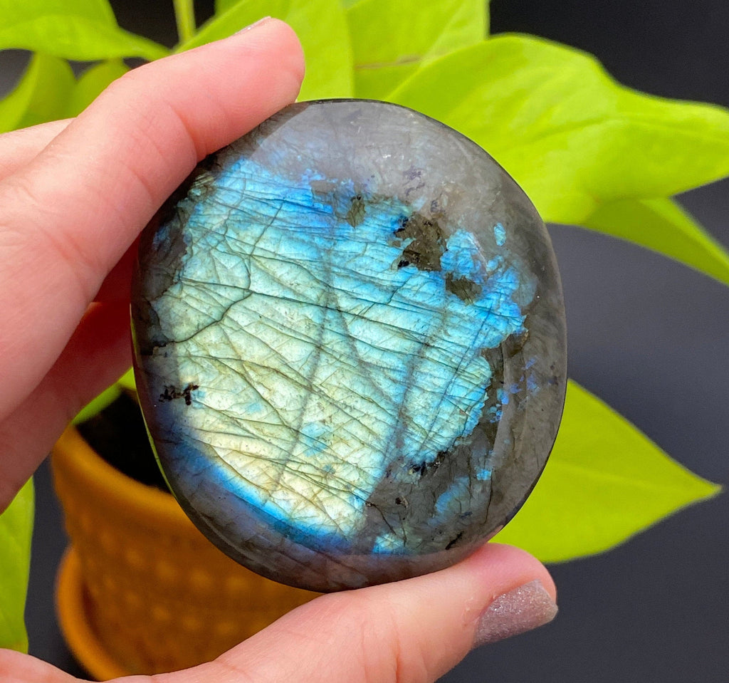 Labradorite, Palm Stone, Super Thunder Blue