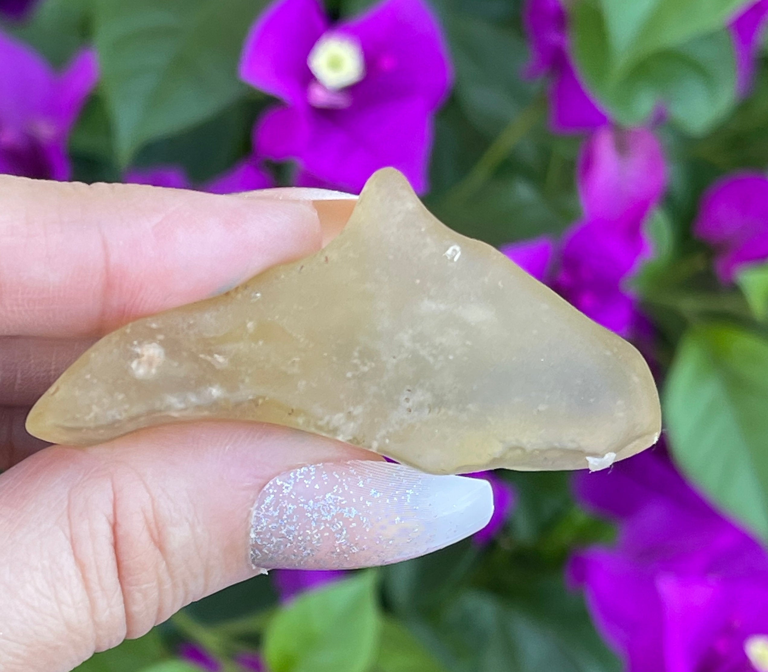 Libyan Desert Glass | Rare Libyan Gold Tektite | Large 24 Grams, Authentic Dolphin