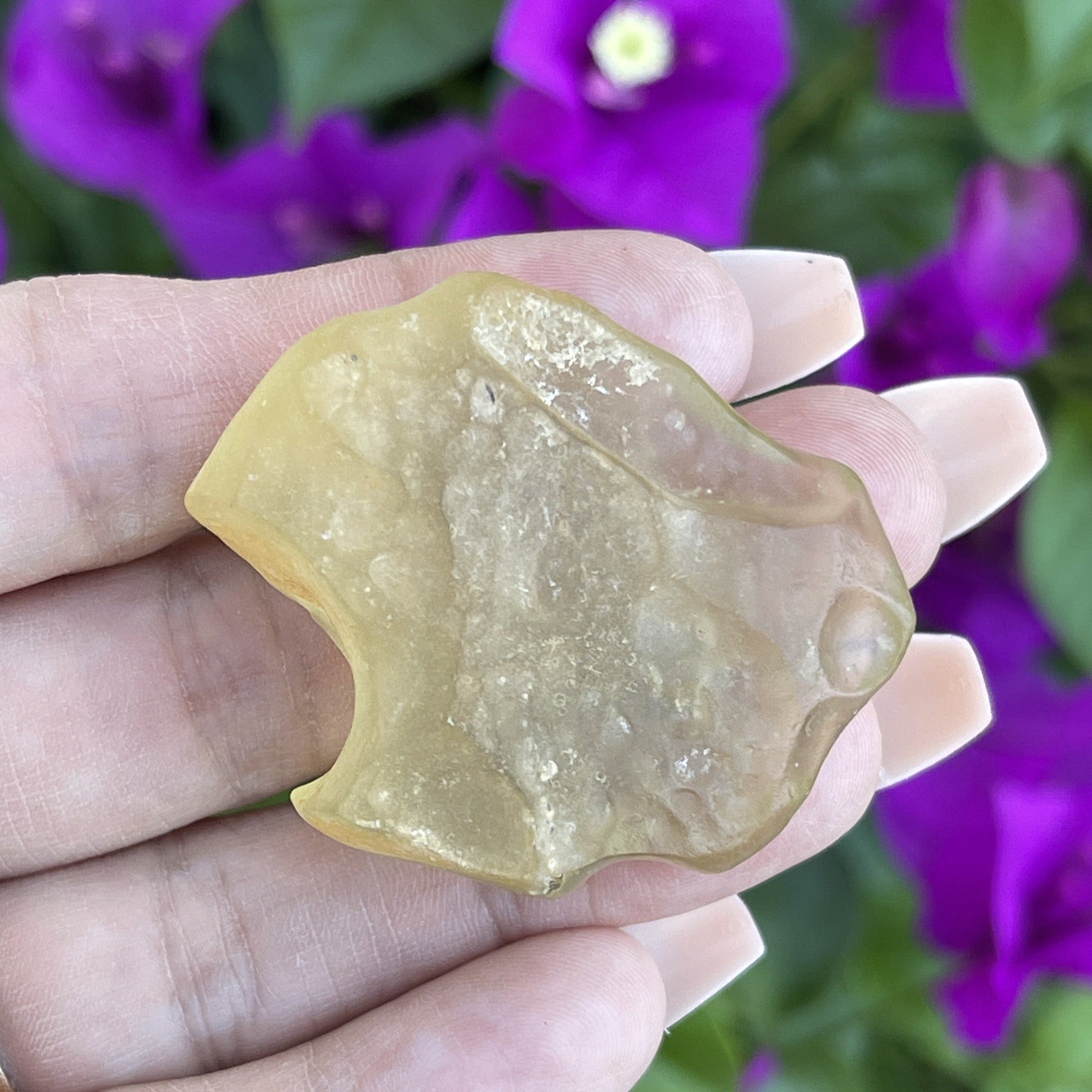 Libyan Desert Glass | Rare Libyan Gold Tektite | Large 25 Grams, Authentic