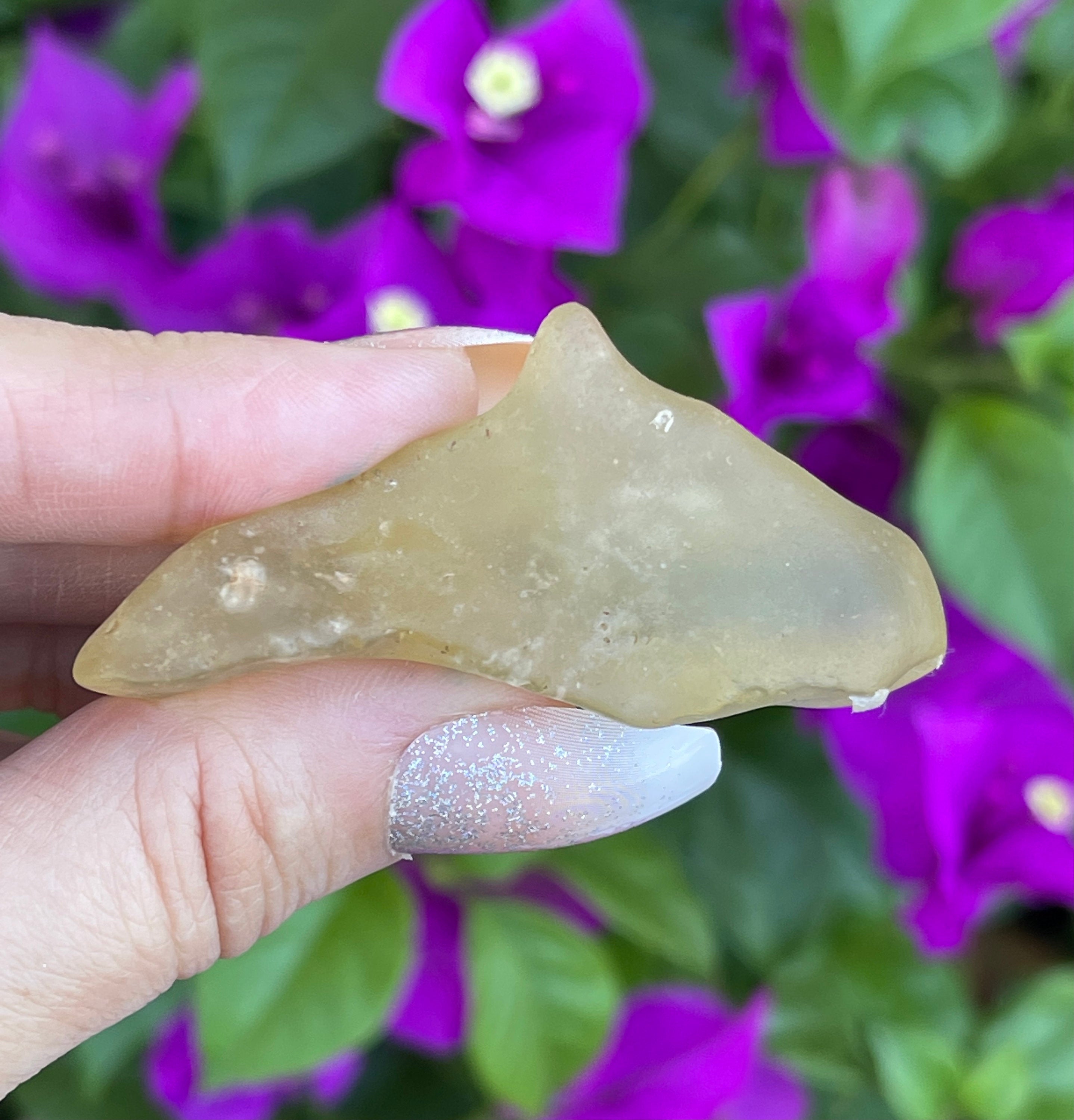 Libyan Desert Glass | Rare Libyan Gold Tektite | Large 24 Grams, Authentic Dolphin