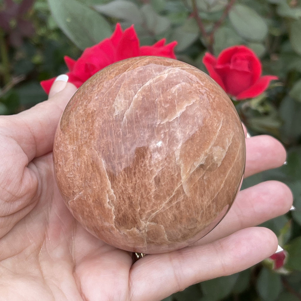Peach Moonstone Sphere | Large 63mm 348grams | Creative Energy Stone
