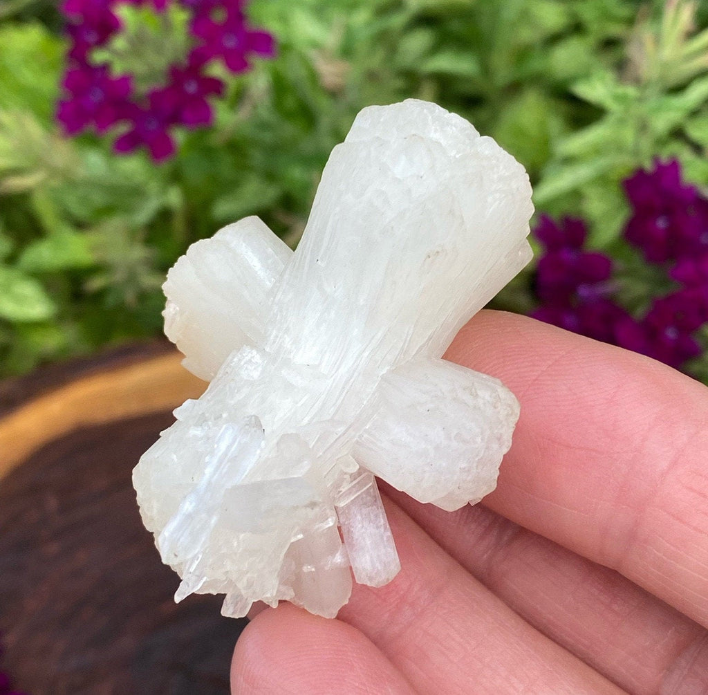 Pearly Stilbite Crystals Bow Tie Vitreous Zeolite 28g